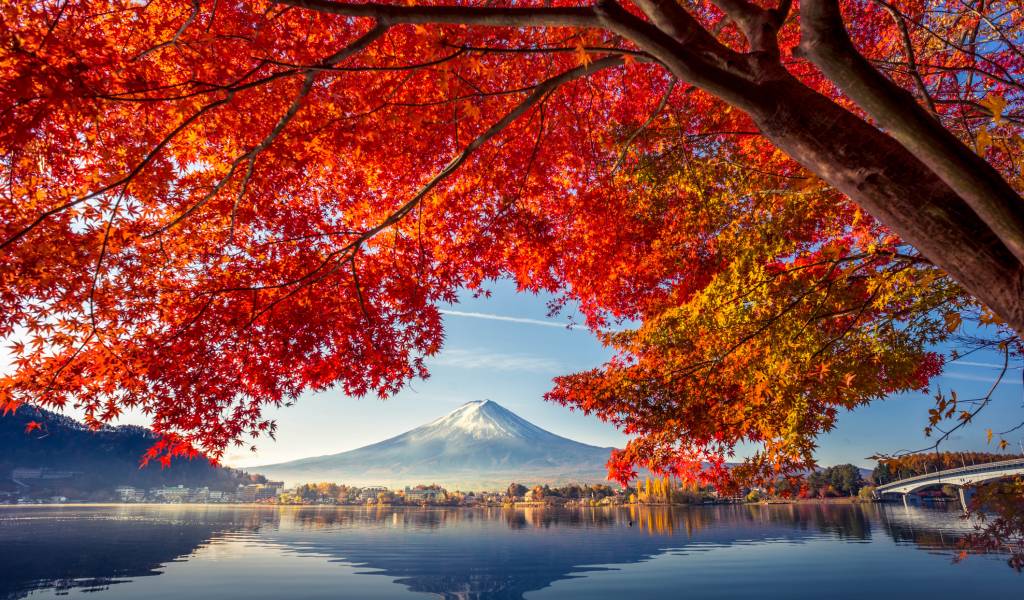 Pakej percutian Tokyo dan Gunung Fuji