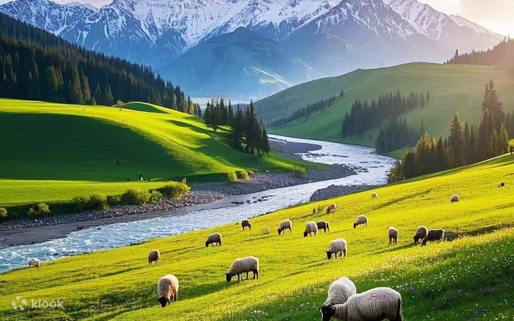 Pakej Northern Xinjiang China berkumpulan termasuk flight